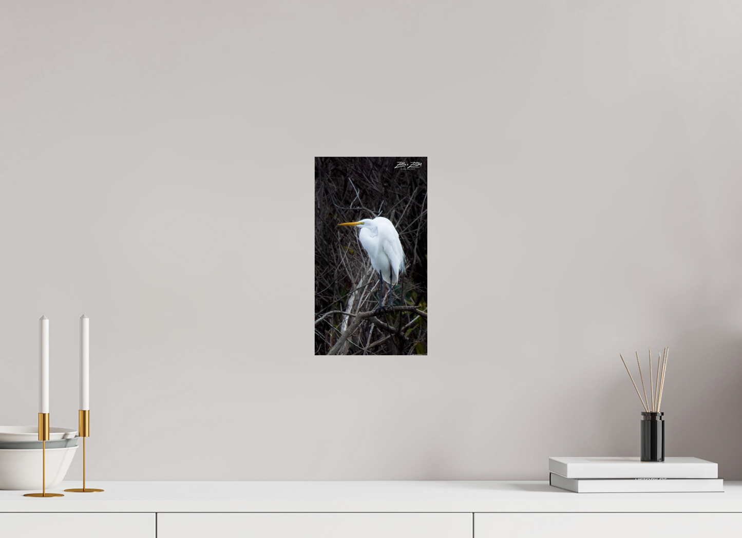 6.8 x 12″, Photo Print On Fuji Crystal DP II Zillas Zoom Image 434