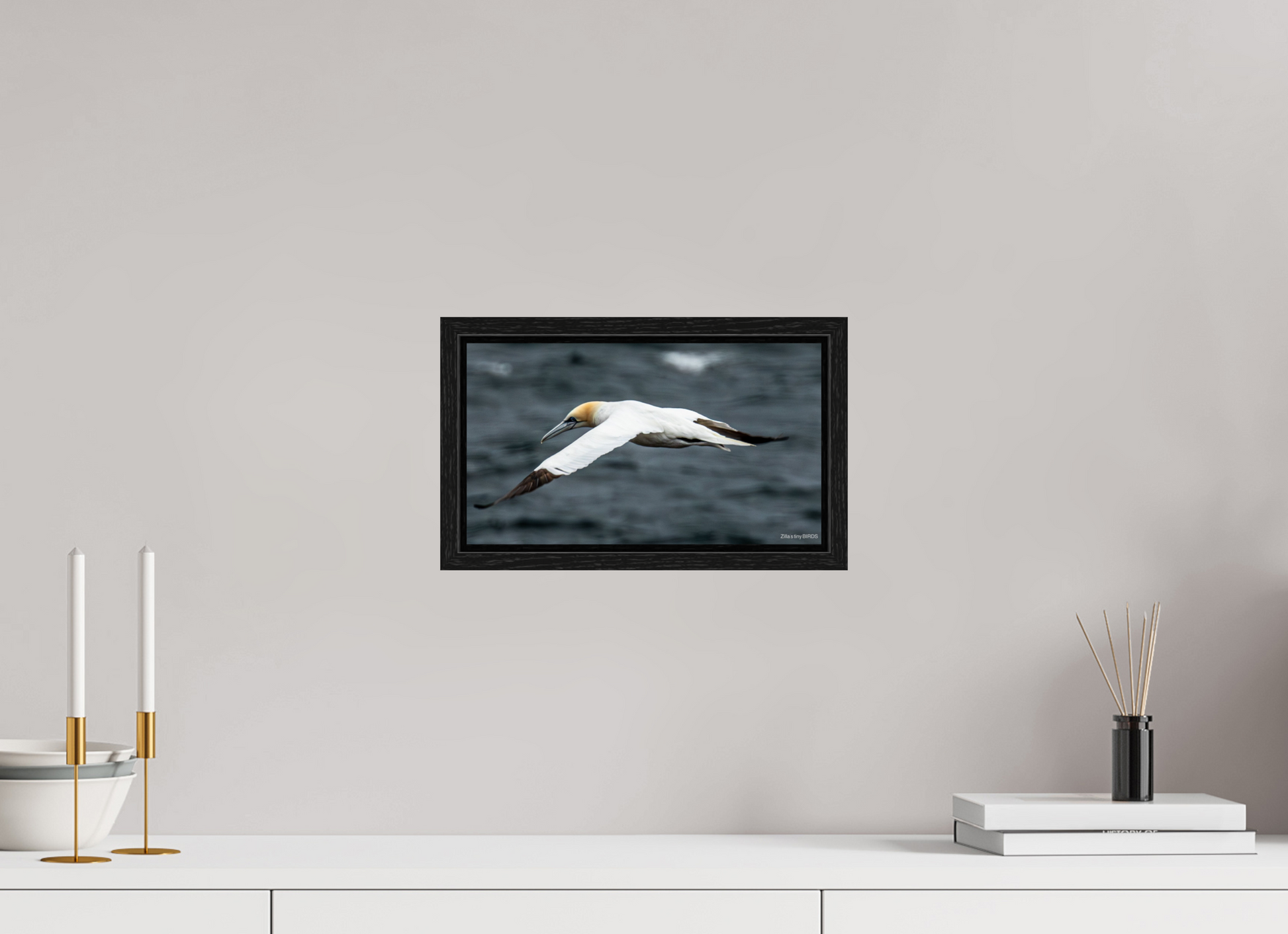 12 x 6.8″, Floater Frame Zillas Zoom Image 324