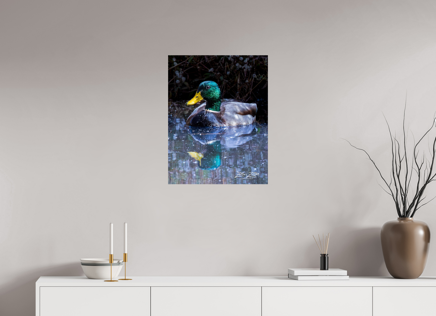20 x 25.9″, Photo Print On Fuji Crystal DP II Zillas Zoom Image 422