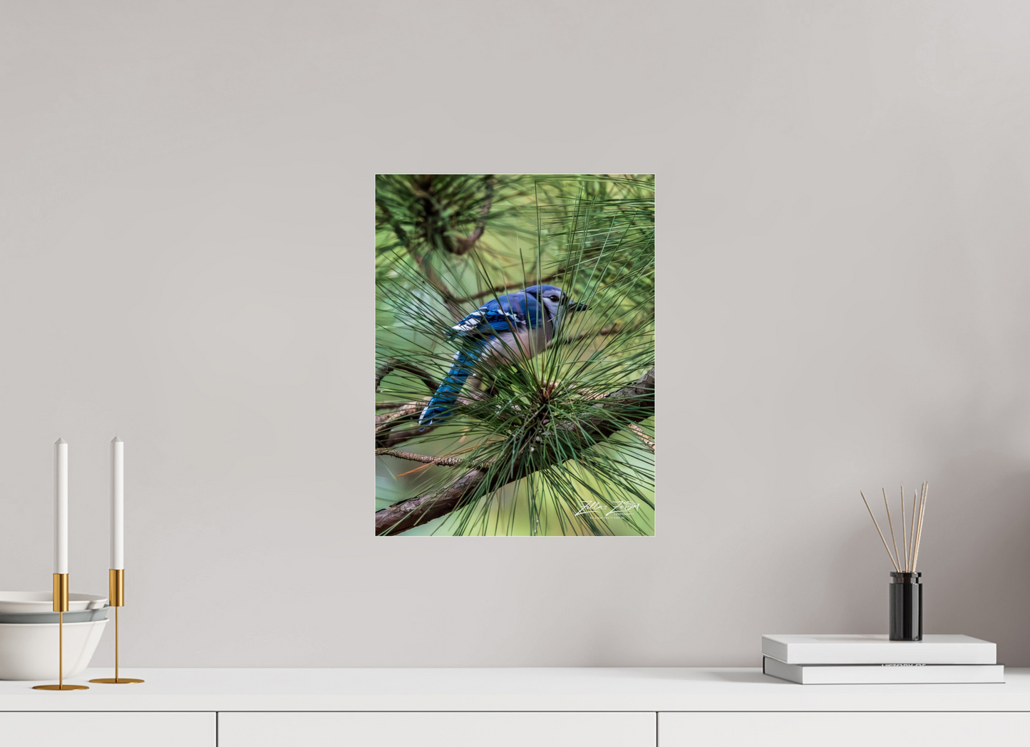 12 x 15.6″, Photo Print Under Acrylic Glass Zillas Zoom Image 457