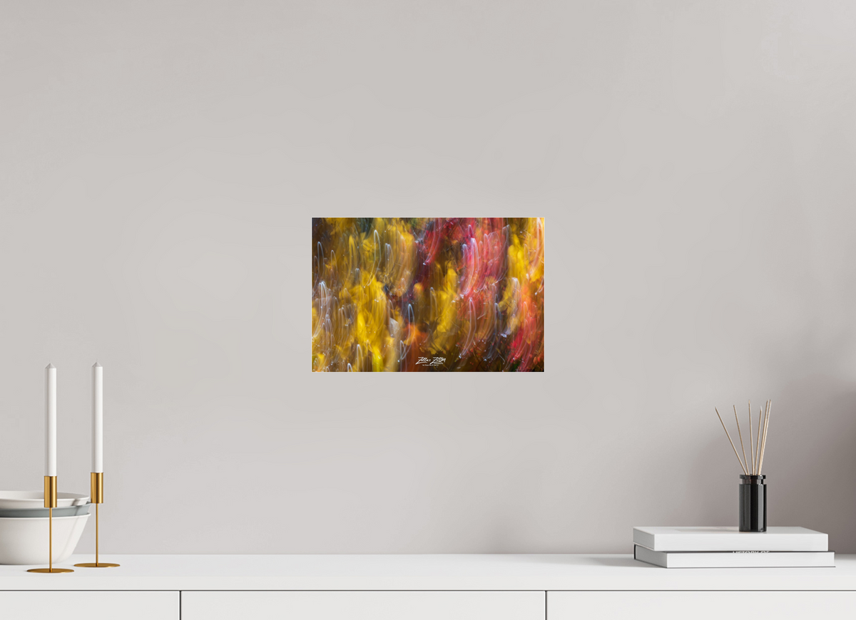 12 x 8″, Photo Print Under Acrylic Glass Zillas Zoom Image 13