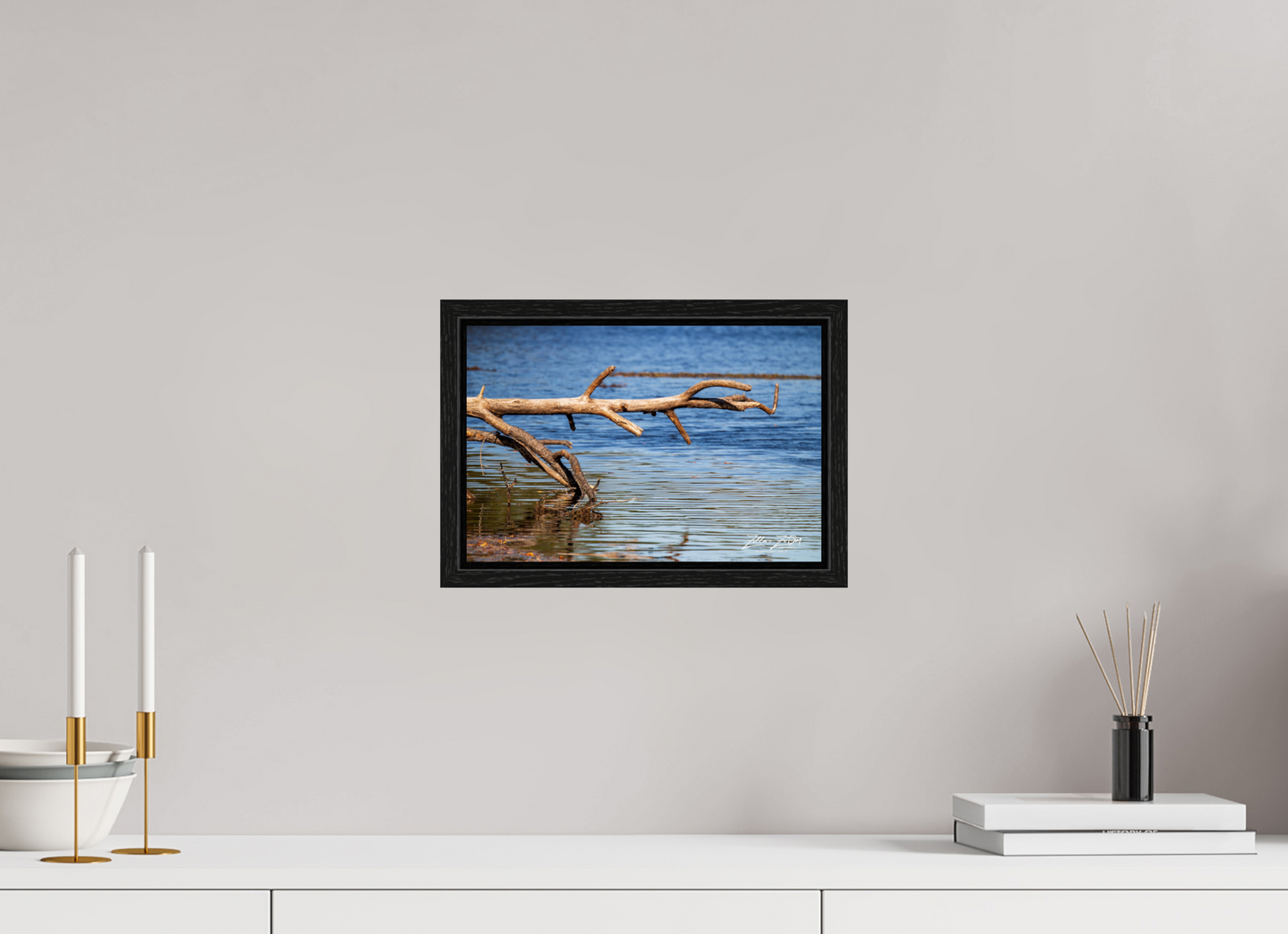 12 x 8″, Floater Frame Zillas Zoom Image 213