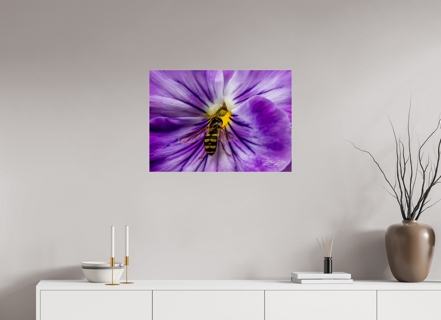 28 x 20″, Photo Print Under Acrylic Glass Zillas Zoom Image 103