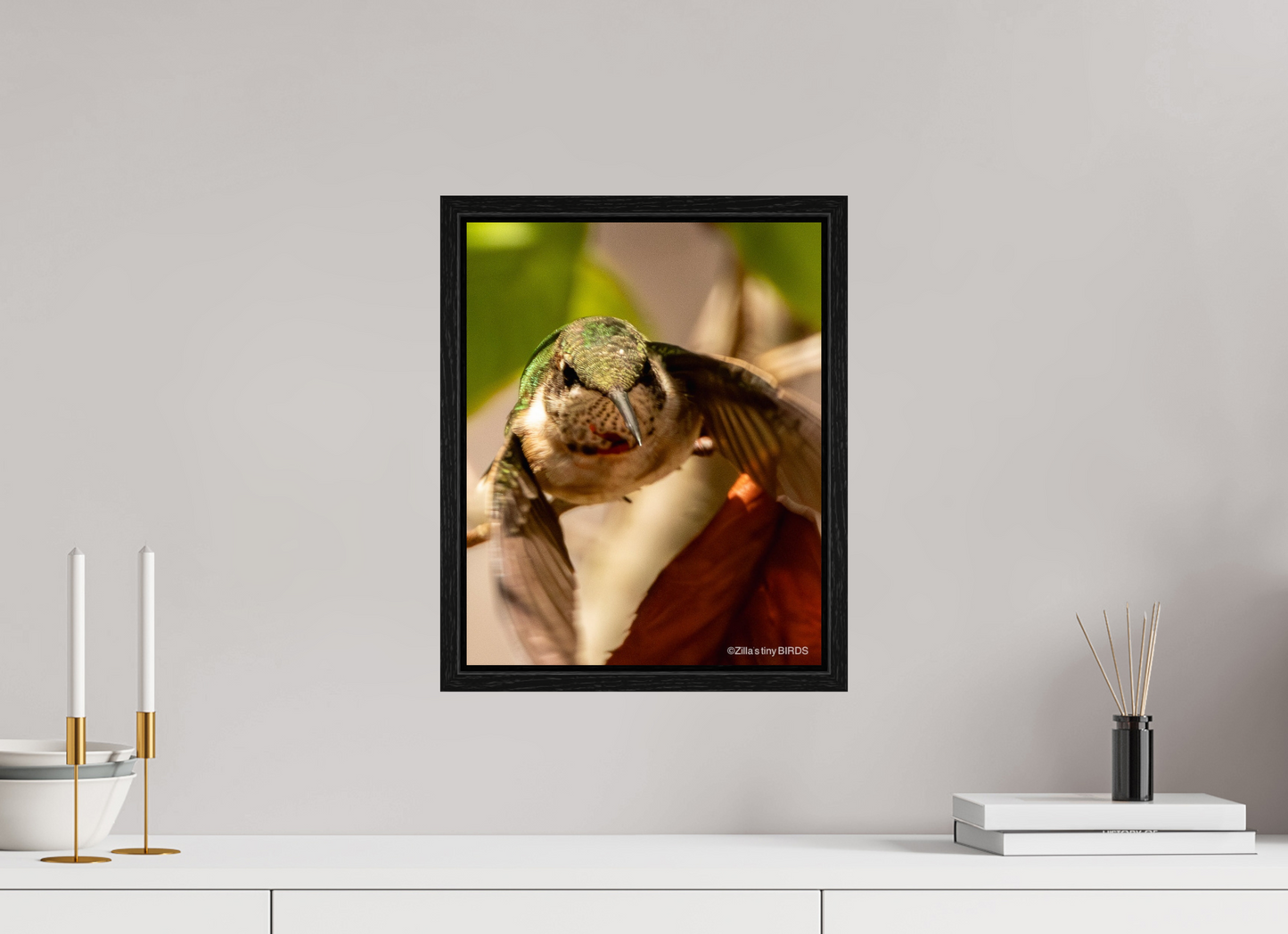 12 x 15″, Floater Frame Zillas Zoom Image 504