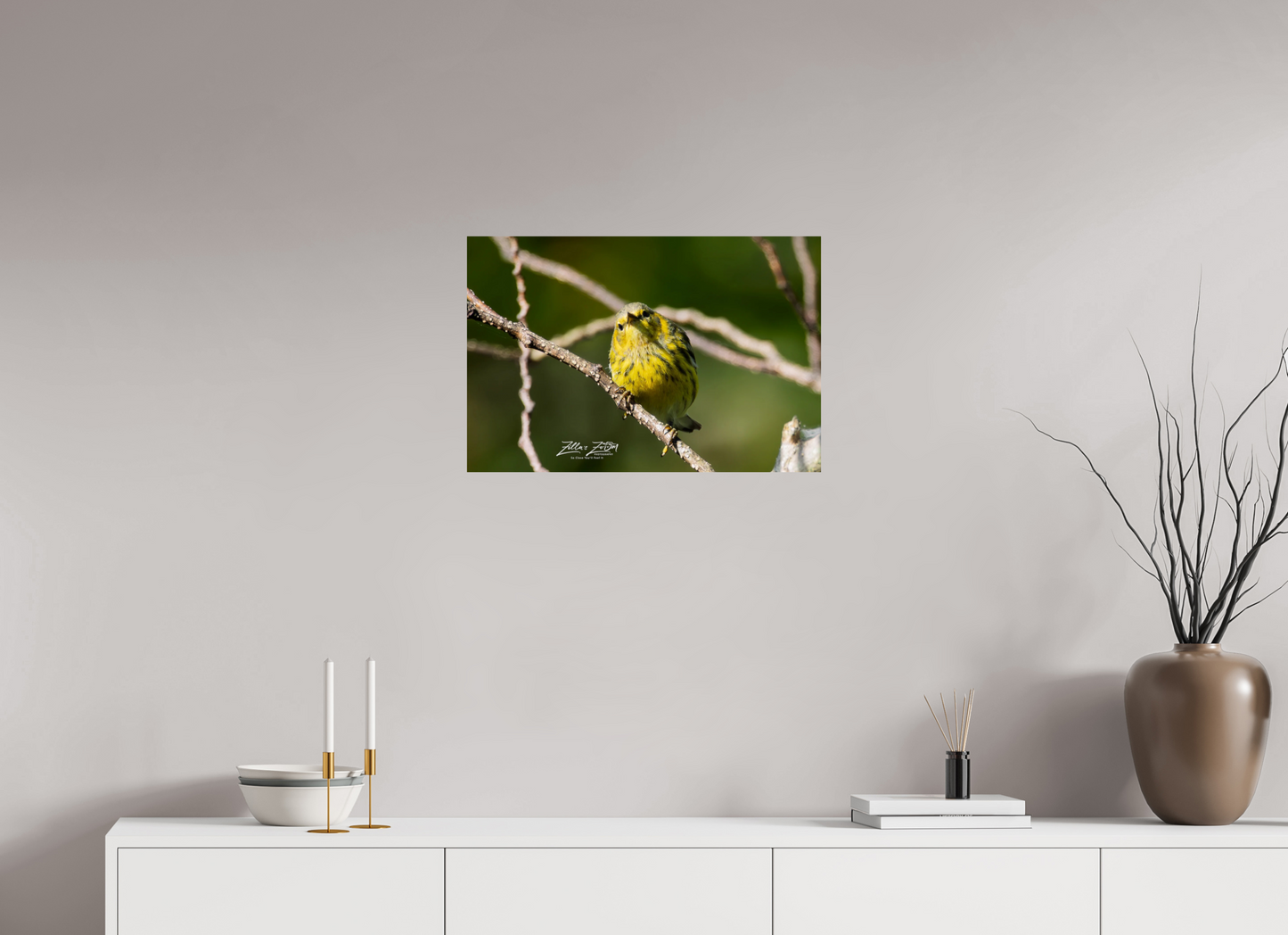24 x 16″, Photo Print On Fuji Crystal DP II Zillas Zoom Image 307