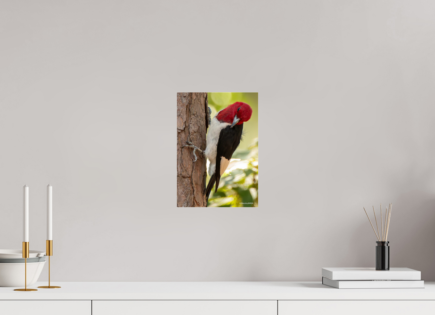 ISO A4 (21 x 29,7 cm), Photo Print Under Acrylic Glass Zillas Zoom Image 516