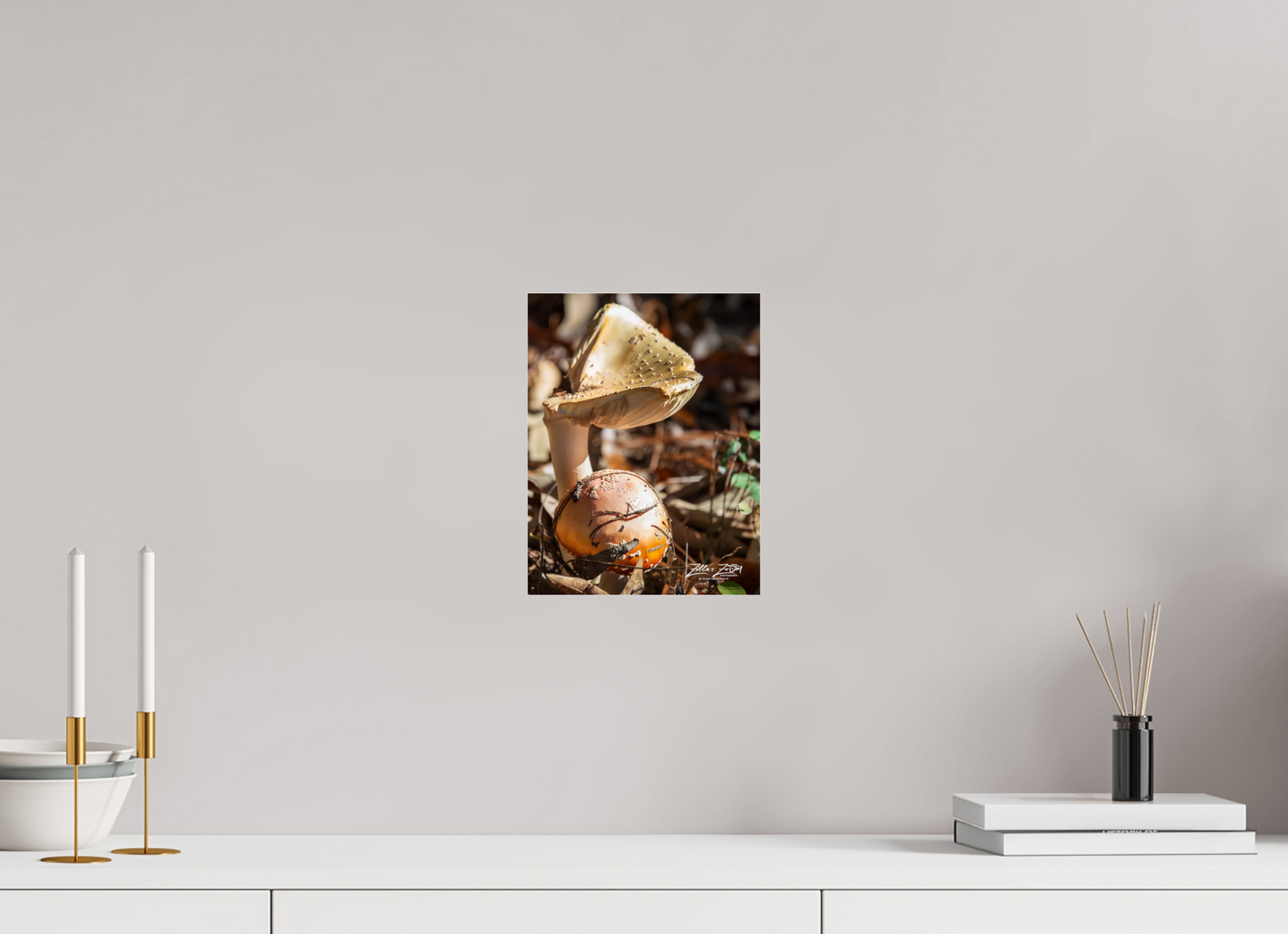 8 x 10.4″, Photo Print Under Acrylic Glass Zillas Zoom Image 116