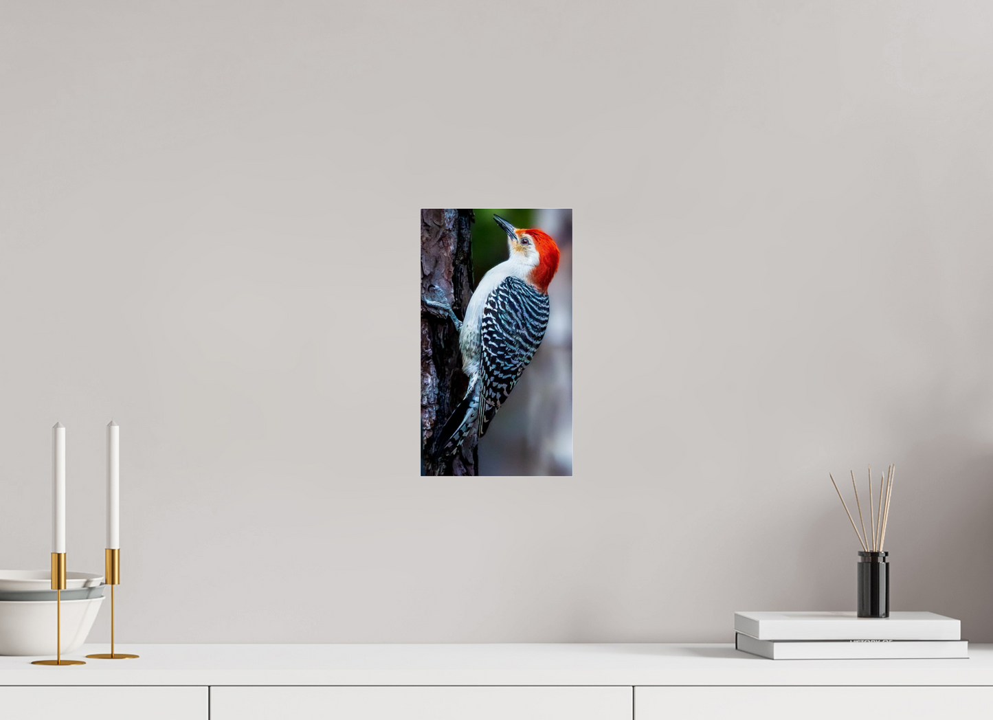 6.8 x 12″, Photo Print Under Acrylic Glass Zillas Zoom Image 447