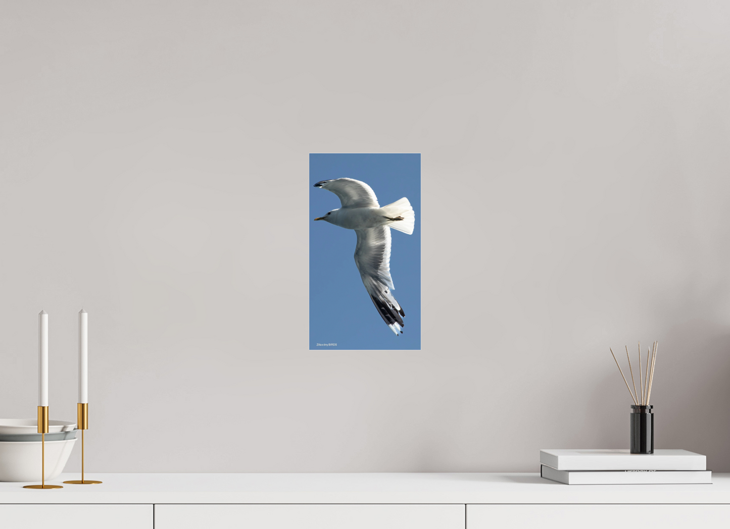 6.8 x 12″, Photo Print Under Acrylic Glass Zillas Zoom Image 465