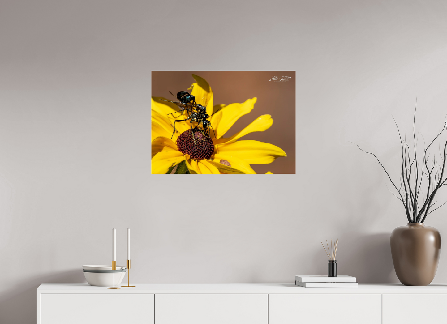 28 x 20″, Photo Print Under Acrylic Glass Zillas Zoom Image 104