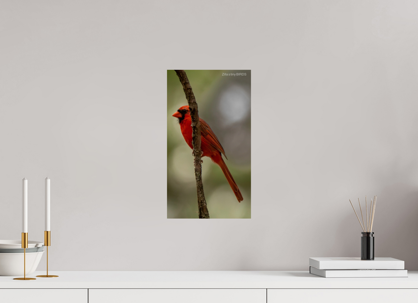 9 x 16″, Photo Print On Fuji Crystal DP II Zillas Zoom Image 486