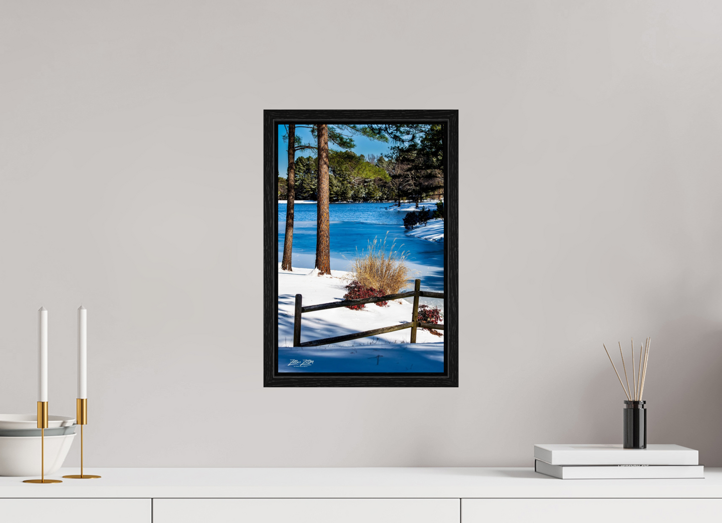 10 x 15″, Floater Frame Zillas Zoom Image 253