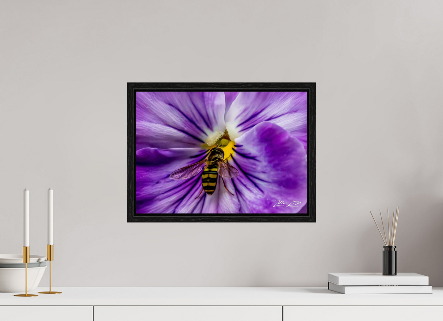 16.8 x 12″, Floater Frame Zillas Zoom Image 103