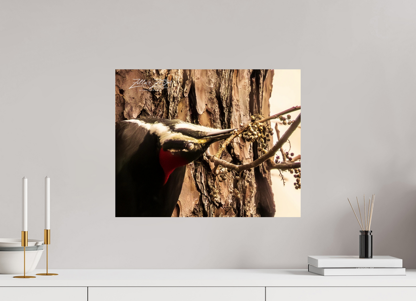 20 x 16″, Photo Print On Fuji Crystal DP II Zillas Zoom Image 280
