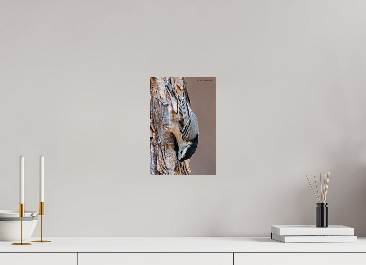 8 x 12″, Photo Print On Fuji Crystal DP II Zillas Zoom Image 432