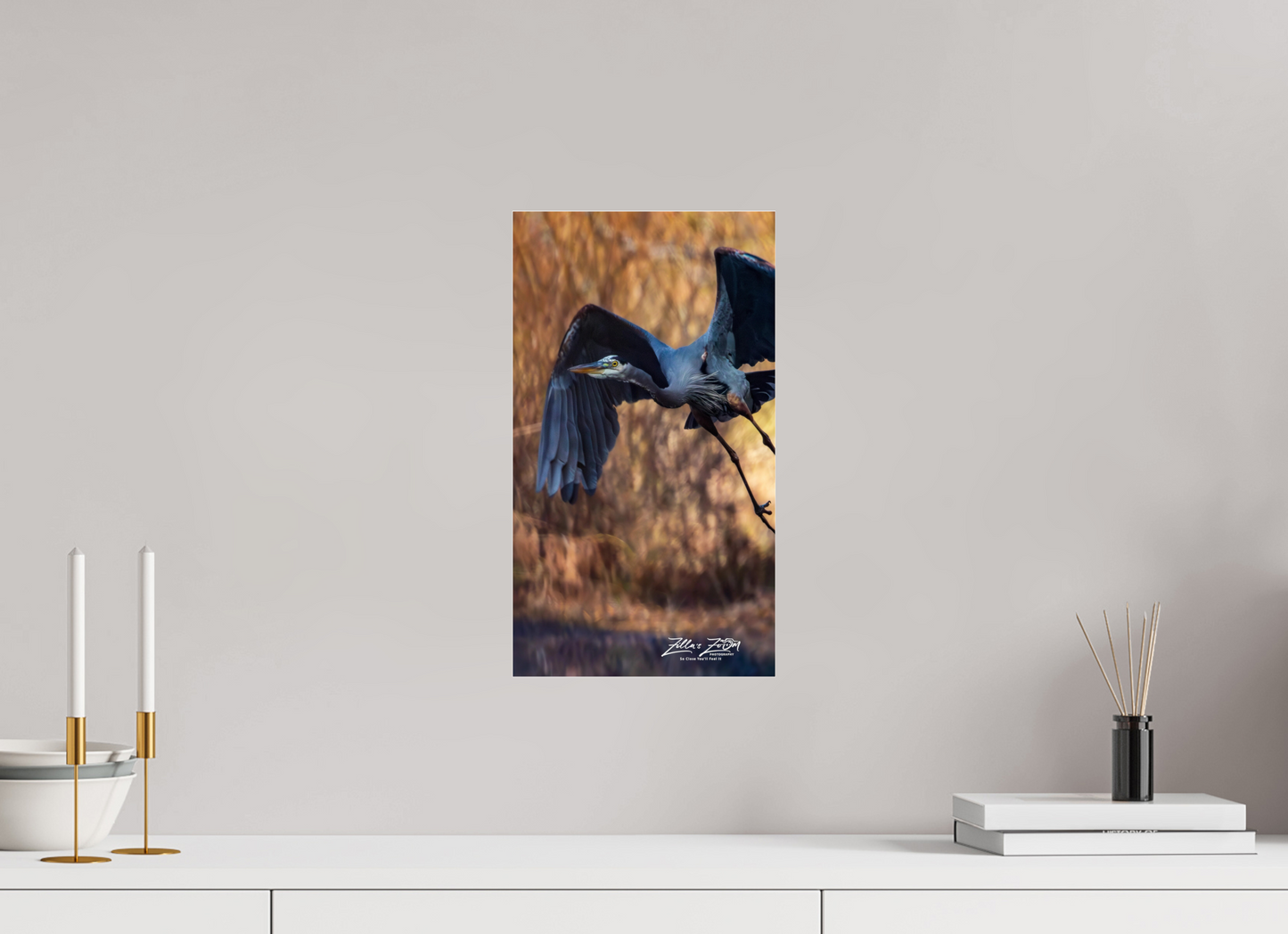 9 x 16″, Photo Print Under Acrylic Glass Zillas Zoom Image 424