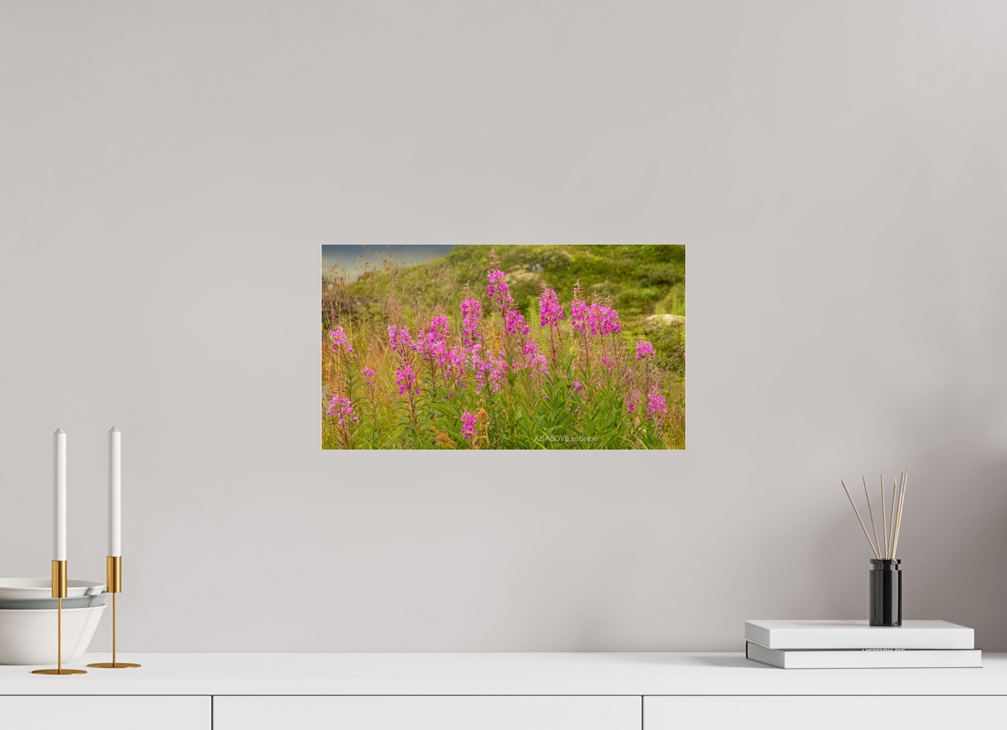 16 x 9″, Photo Print Under Acrylic Glass Zillas Zoom Image 97