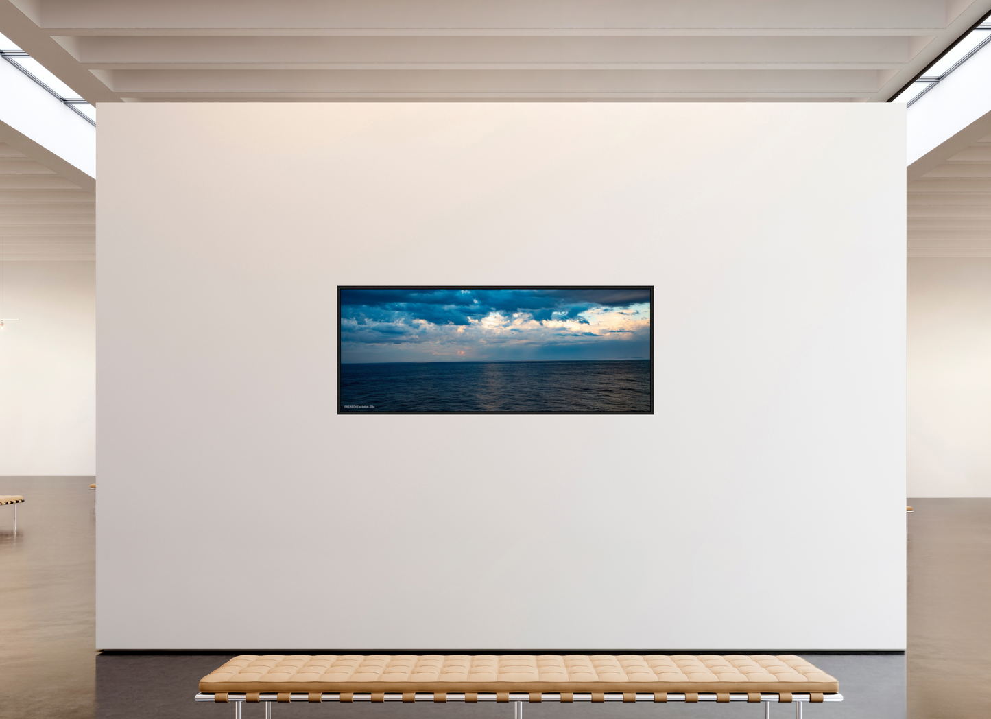 78.6 x 31″, Floater Frame Zillas Zoom Image 198