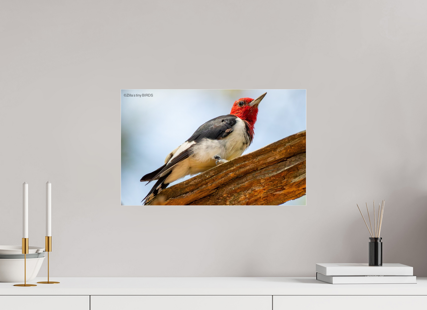 19.2 x 12″, Photo Print Under Acrylic Glass Zillas Zoom Image 328