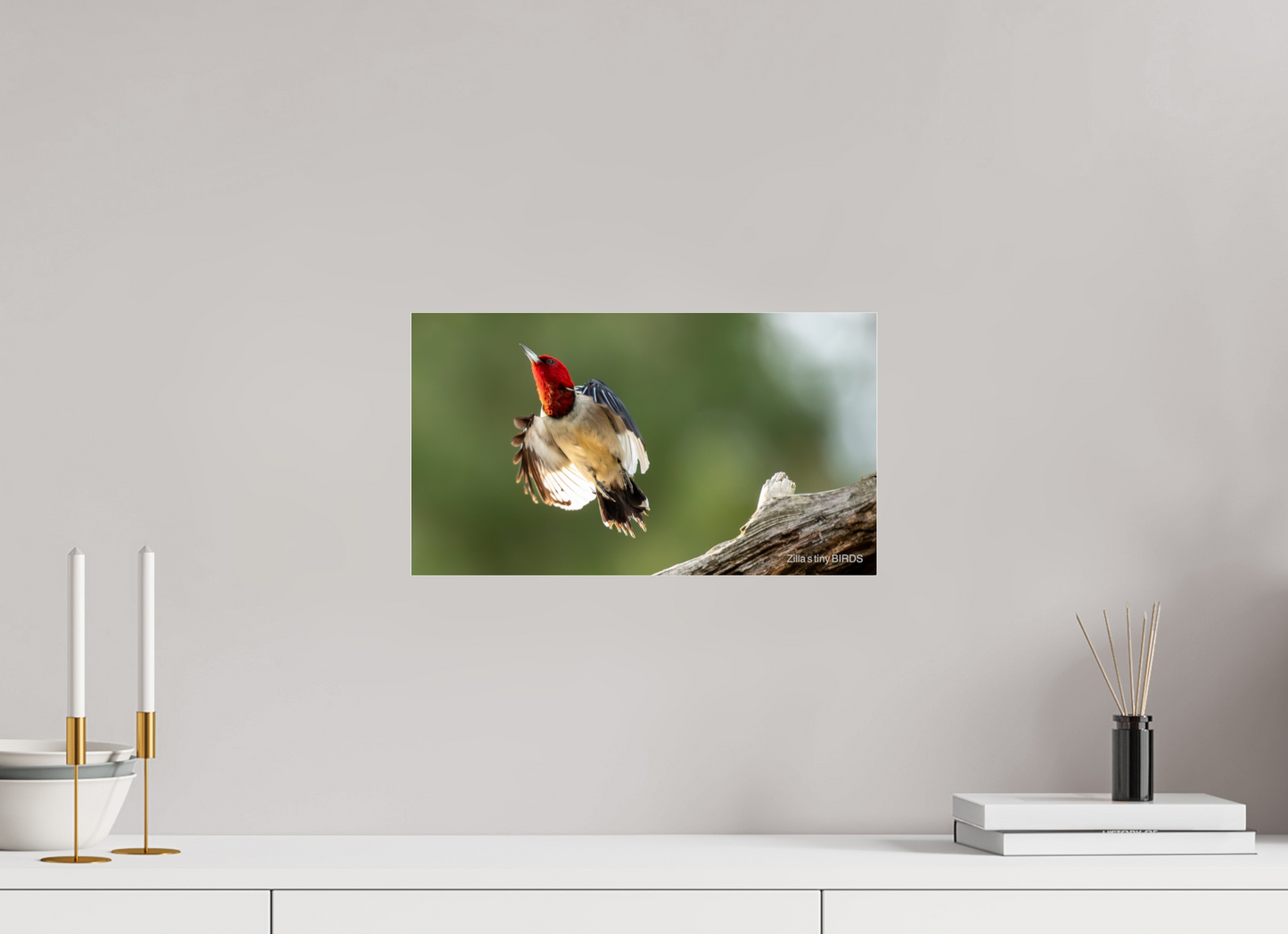16 x 9″, Photo Print Under Acrylic Glass Zillas Zoom Image 374