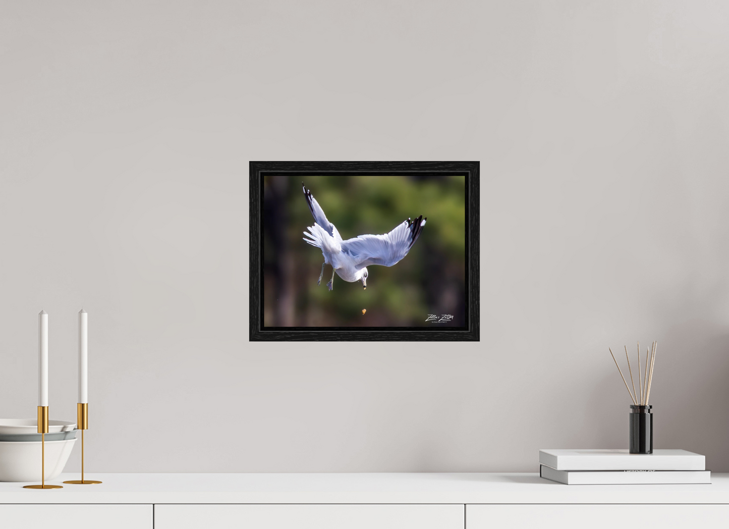 12 x 9″, Floater Frame Zillas Zoom Image 268