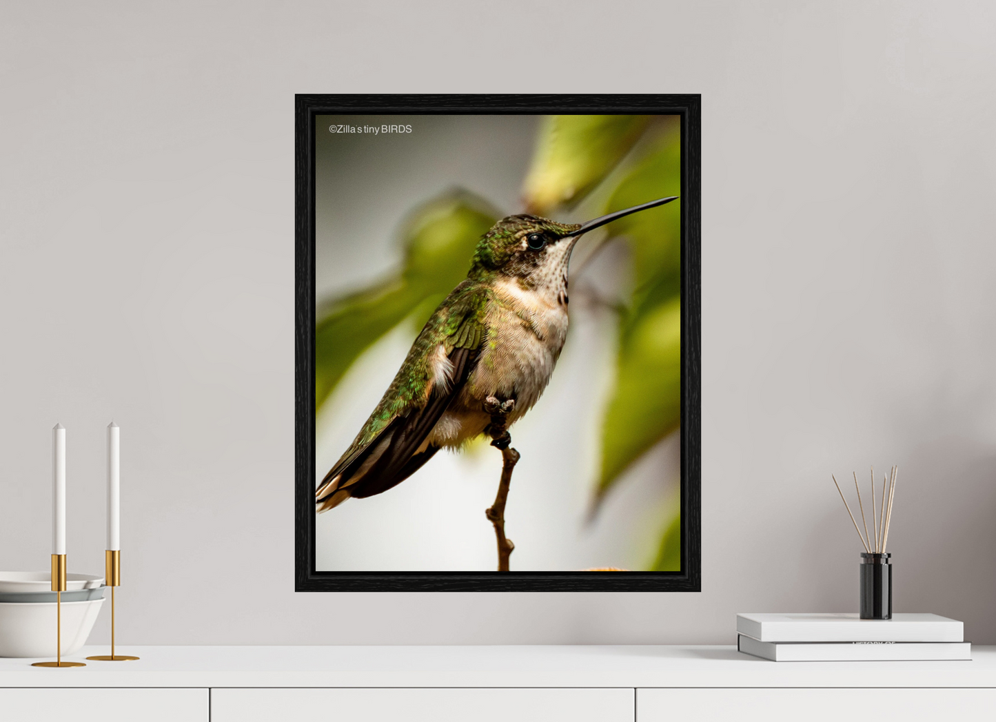 16 x 20″, Floater Frame Zillas Zoom Image 472