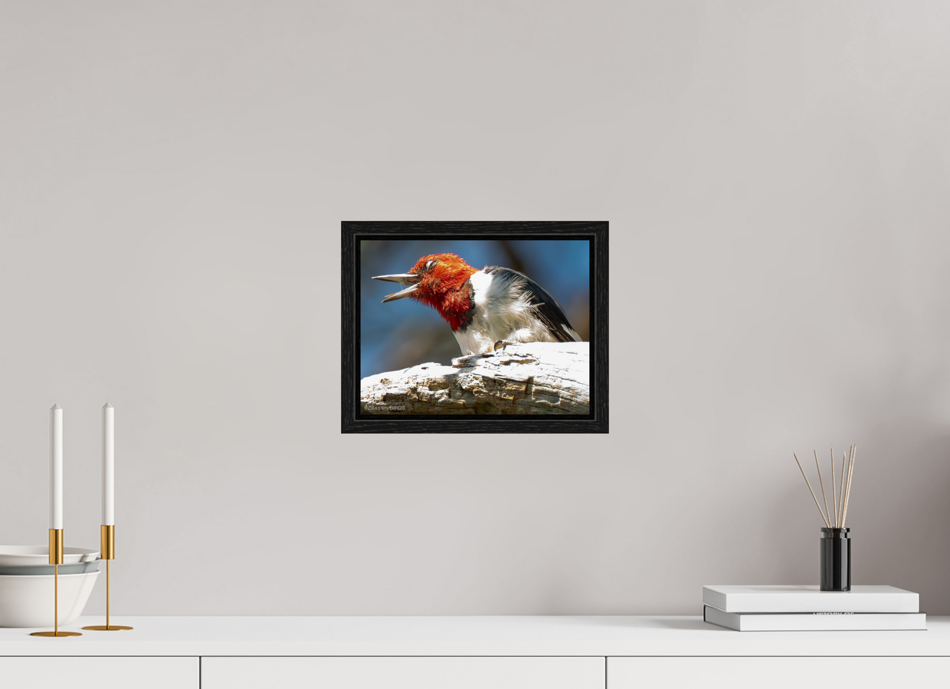 10.5 x 8″, Floater Frame Zillas Zoom Image 269