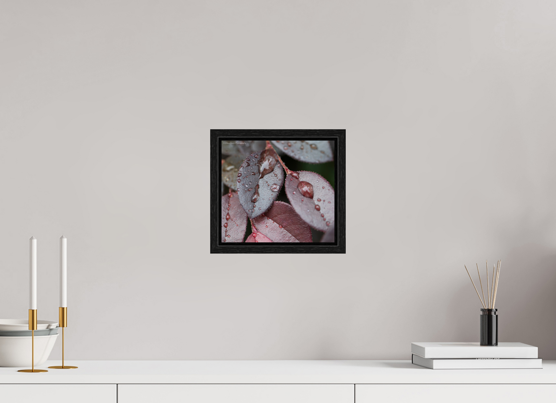 8.9 x 8″, Floater Frame Zillas Zoom Image 99