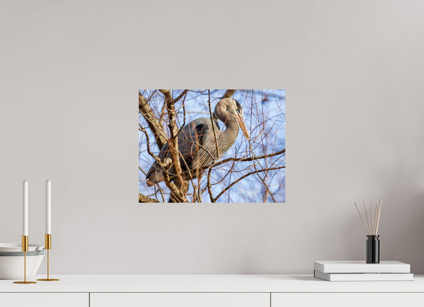 15.5 x 12″, Photo Print On Fuji Crystal DP II Zillas Zoom Image 363