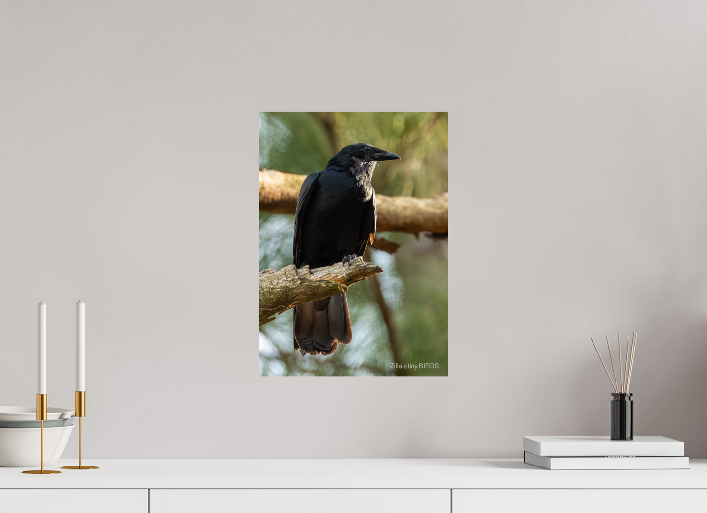 12 x 16.8″, Photo Print On Fuji Crystal DP II Zillas Zoom Image 523