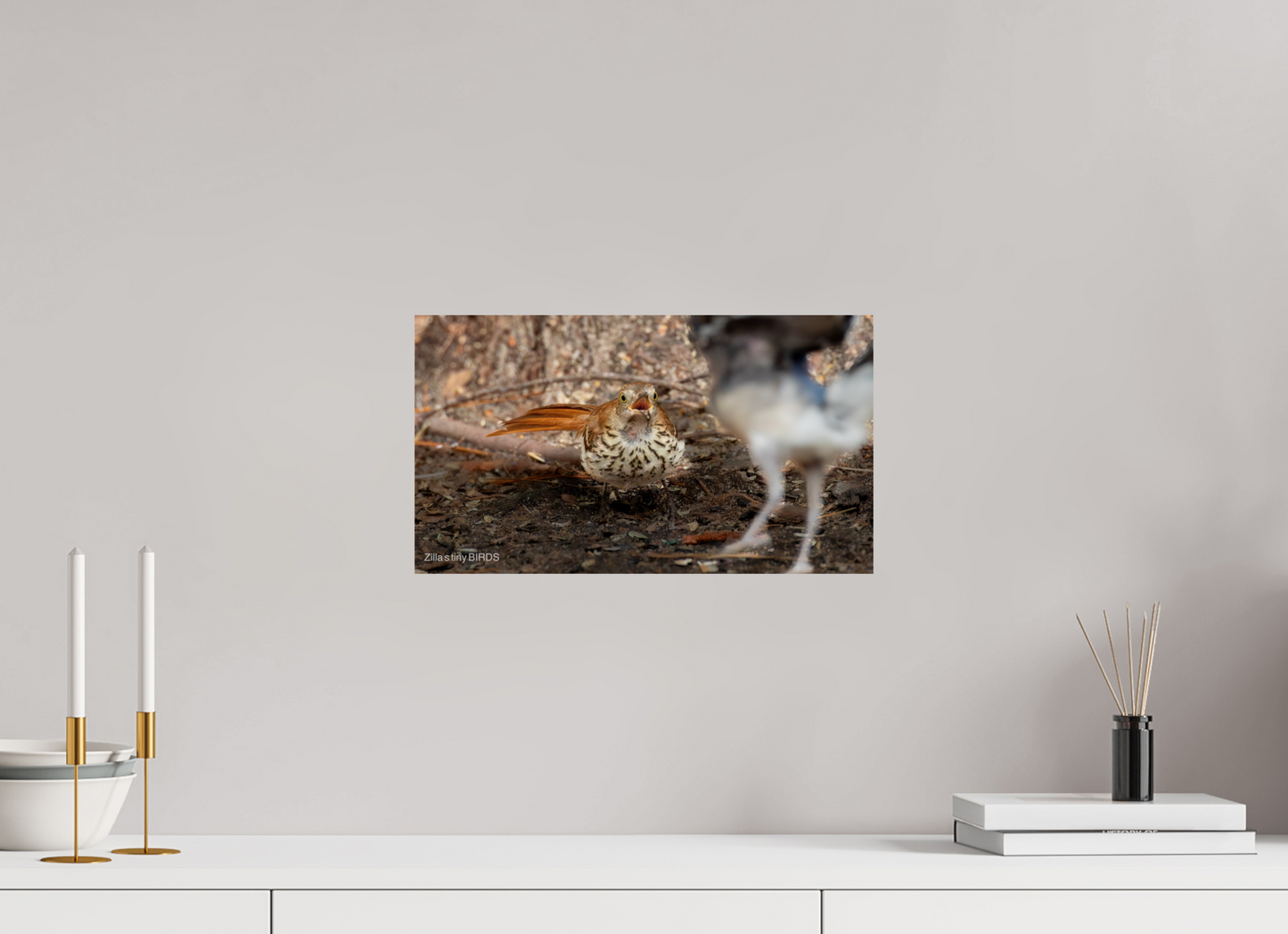 16 x 9″, Photo Print On Fuji Crystal DP II Zillas Zoom Image 383