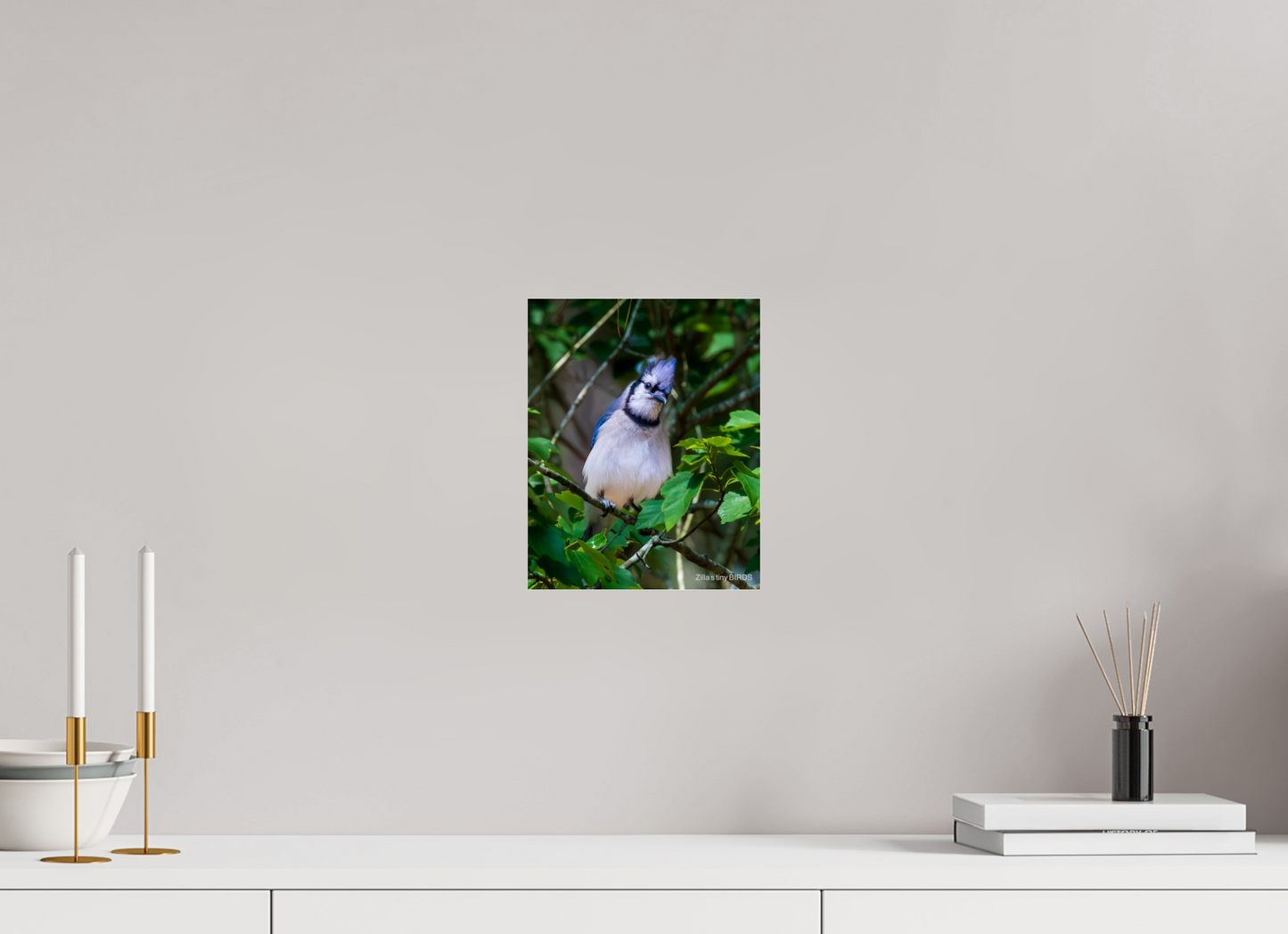 8 x 10″, Photo Print Under Acrylic Glass Zillas Zoom Image 497