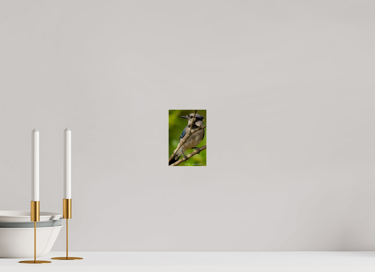 4 x 6″, Photo Print Under Acrylic Glass Zillas Zoom Image 435