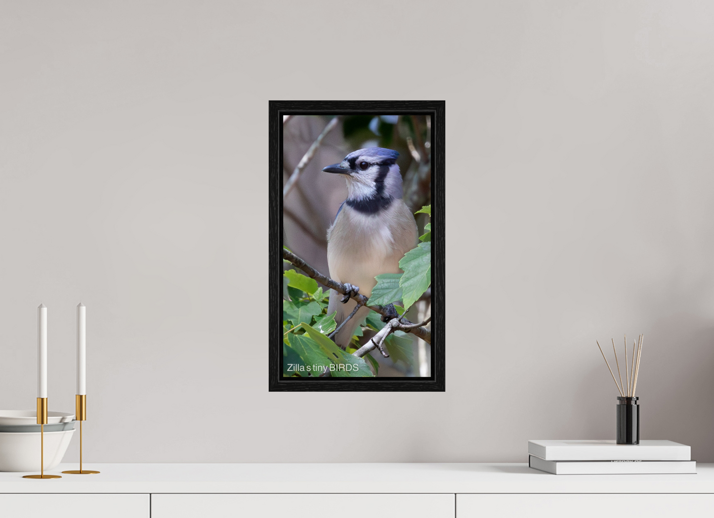 9 x 16″, Floater Frame Zillas Zoom Image 483