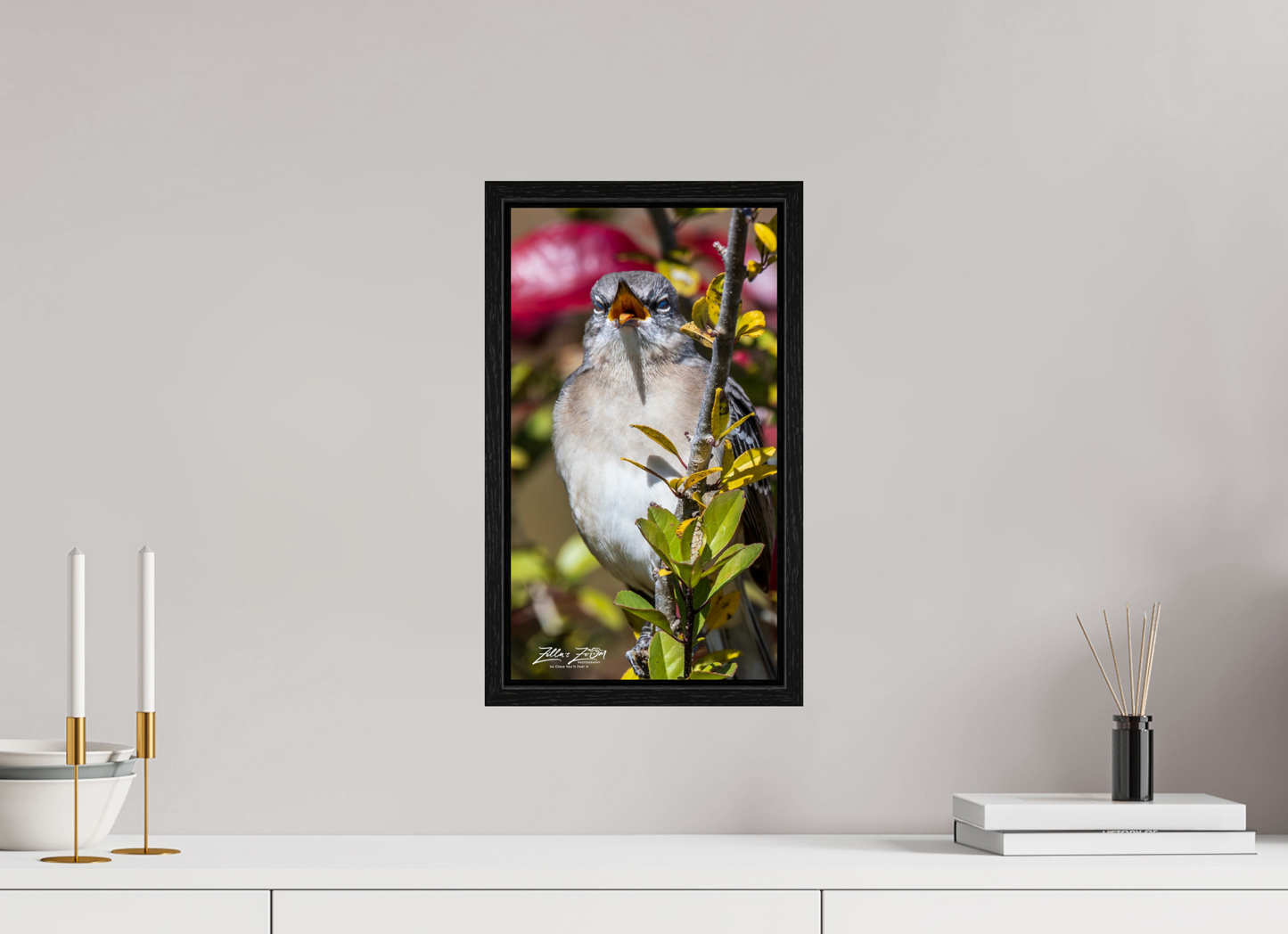 9 x 16″, Floater Frame Zillas Zoom Image 405