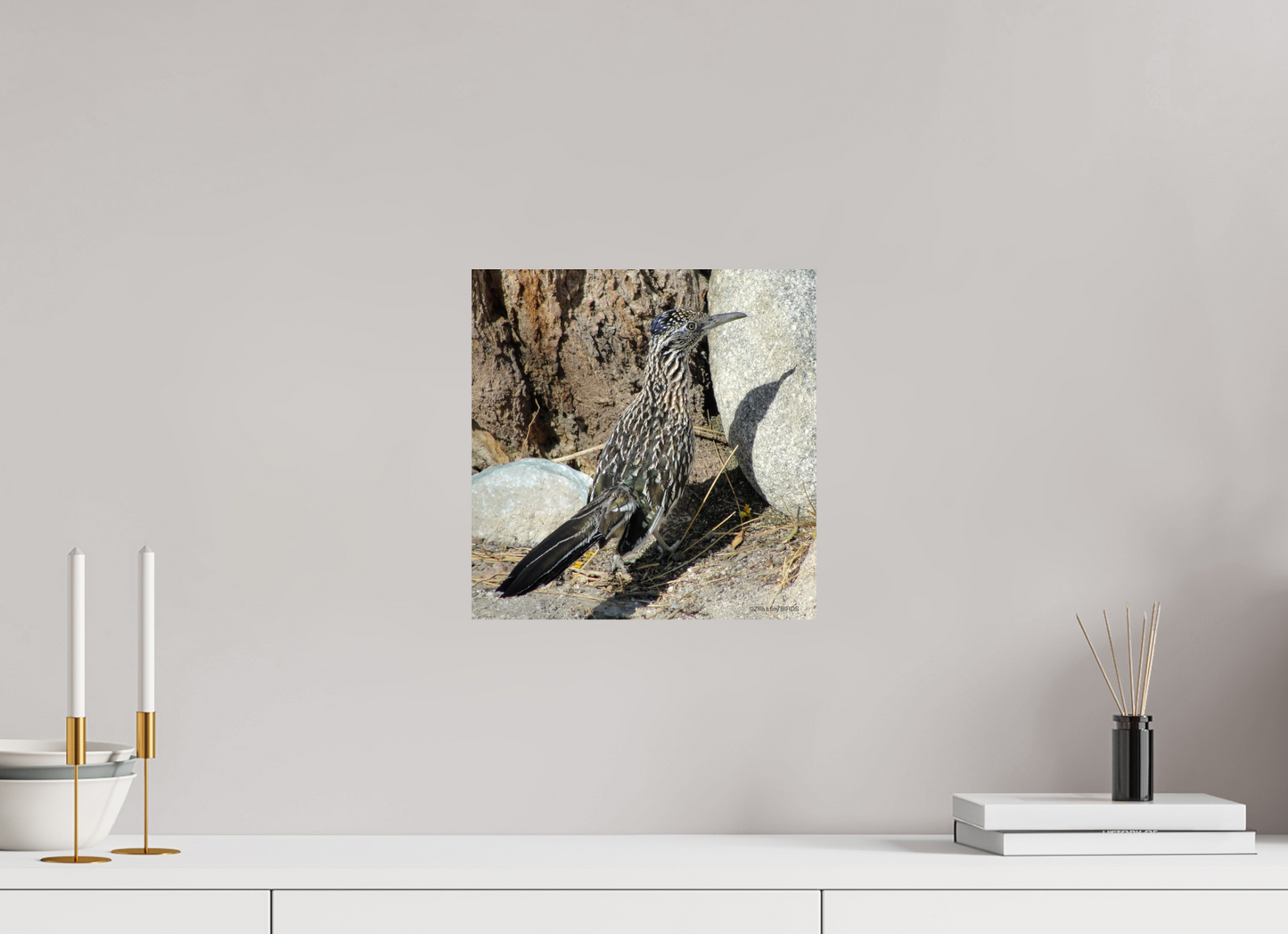 12 x 12.2″, Photo Print On Fuji Crystal DP II Zillas Zoom Image 362