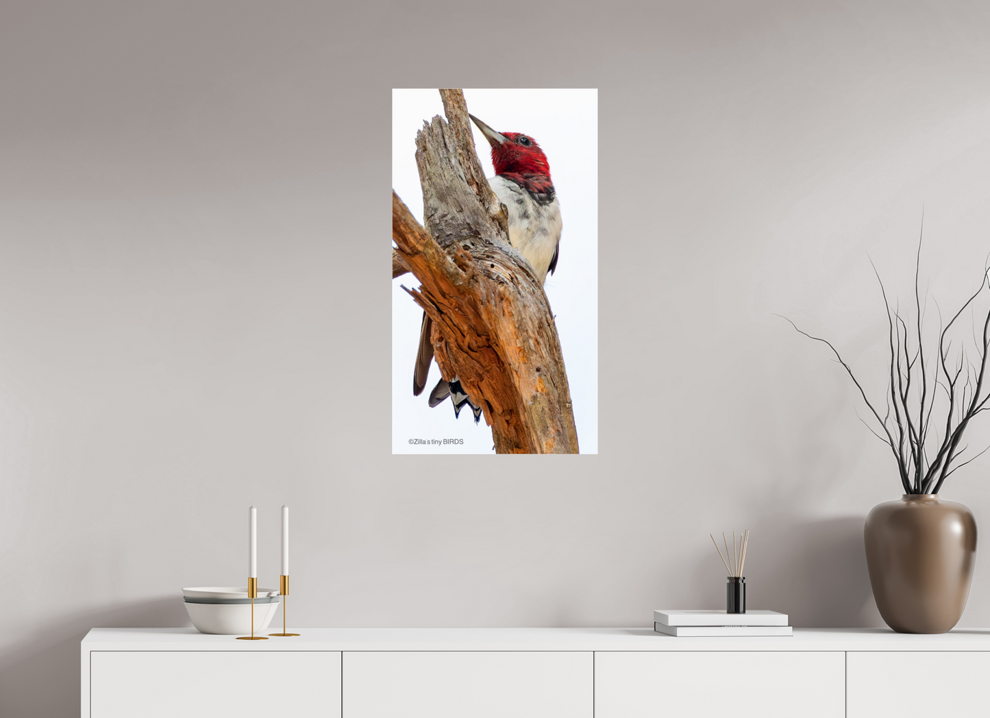 18 x 32″, Photo Print Under Acrylic Glass Zillas Zoom Image 439