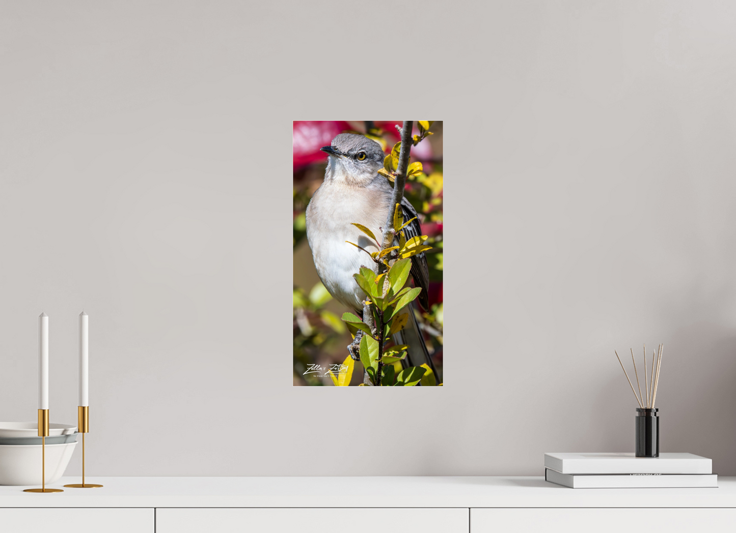 9 x 16″, Photo Print Under Acrylic Glass Zillas Zoom Image 406