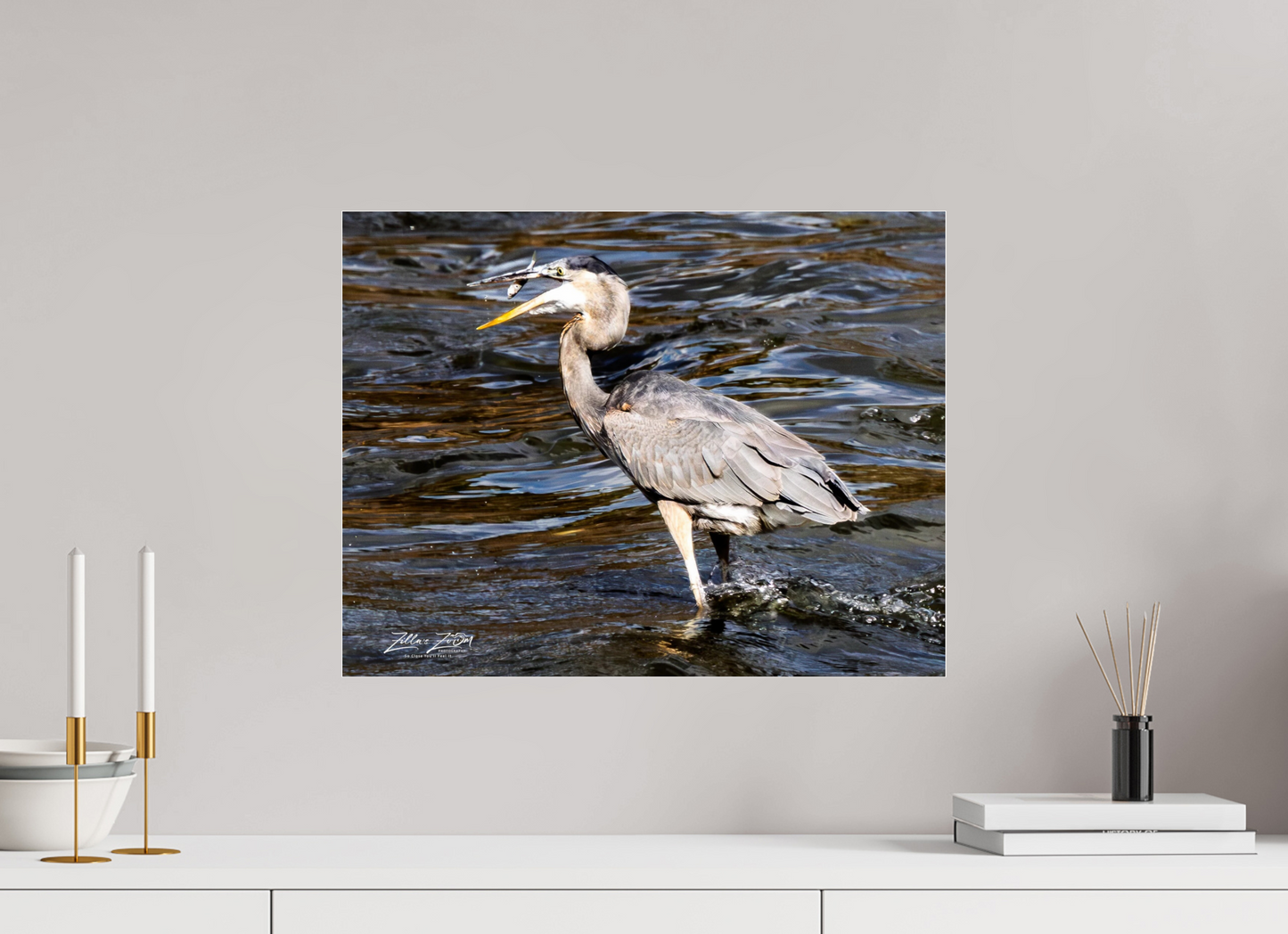 20.7 x 16″, Photo Print Under Acrylic Glass Zillas Zoom Image 281