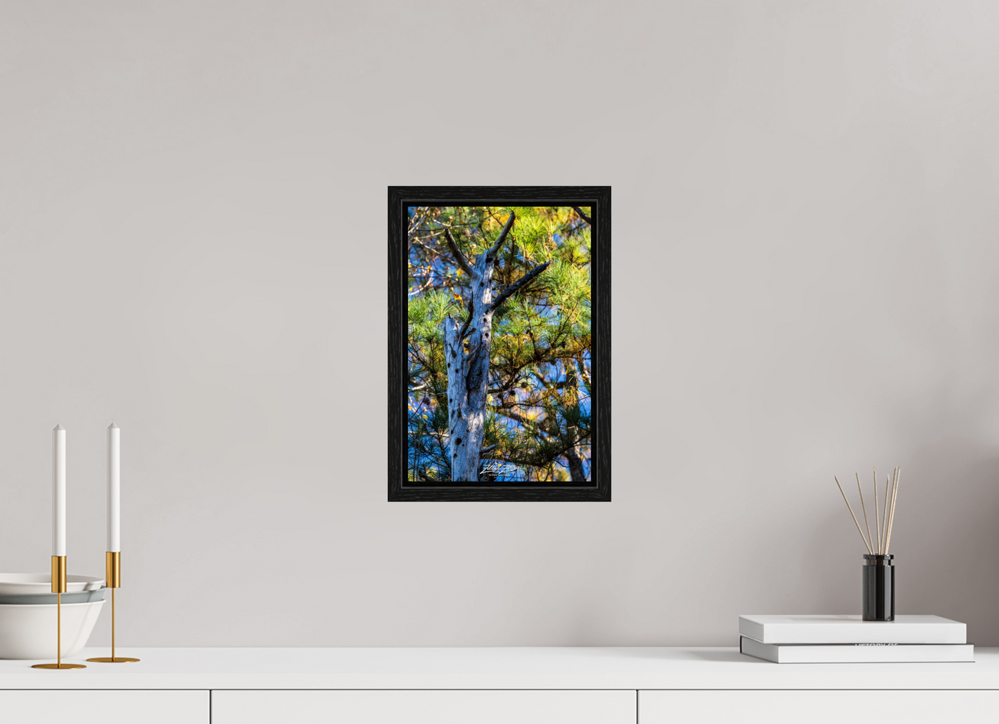 8 x 12″, Floater Frame Zillas Zoom Image 252