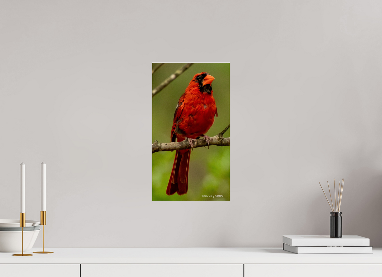 9 x 16″, Photo Print Under Acrylic Glass Zillas Zoom Image 397