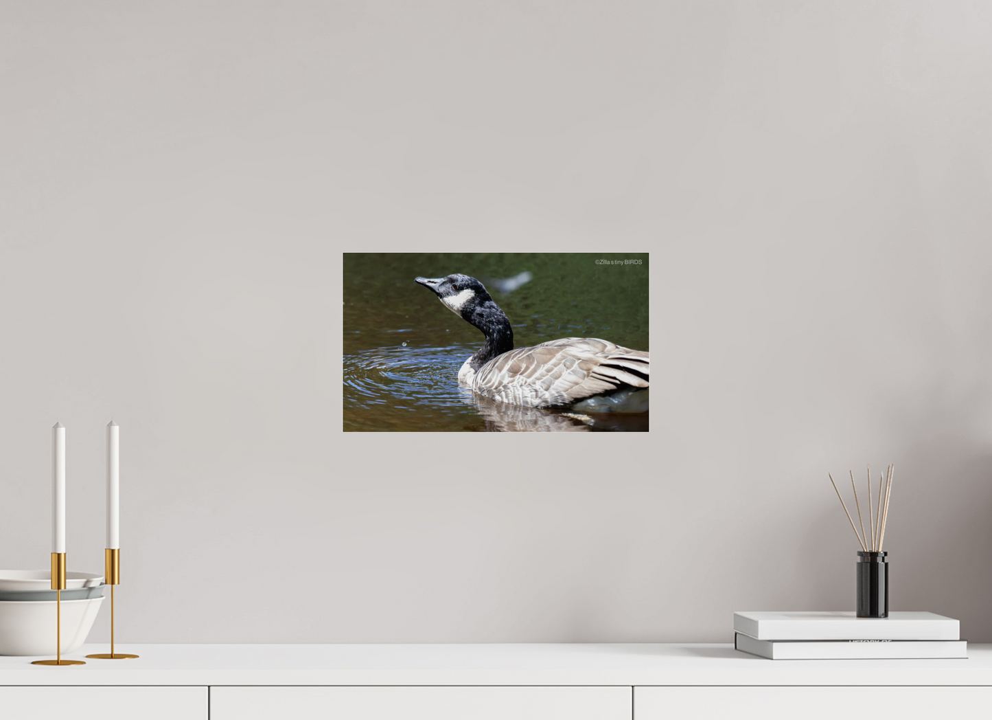 13.7 x 8″, Photo Print Under Acrylic Glass Zillas Zoom Image 315