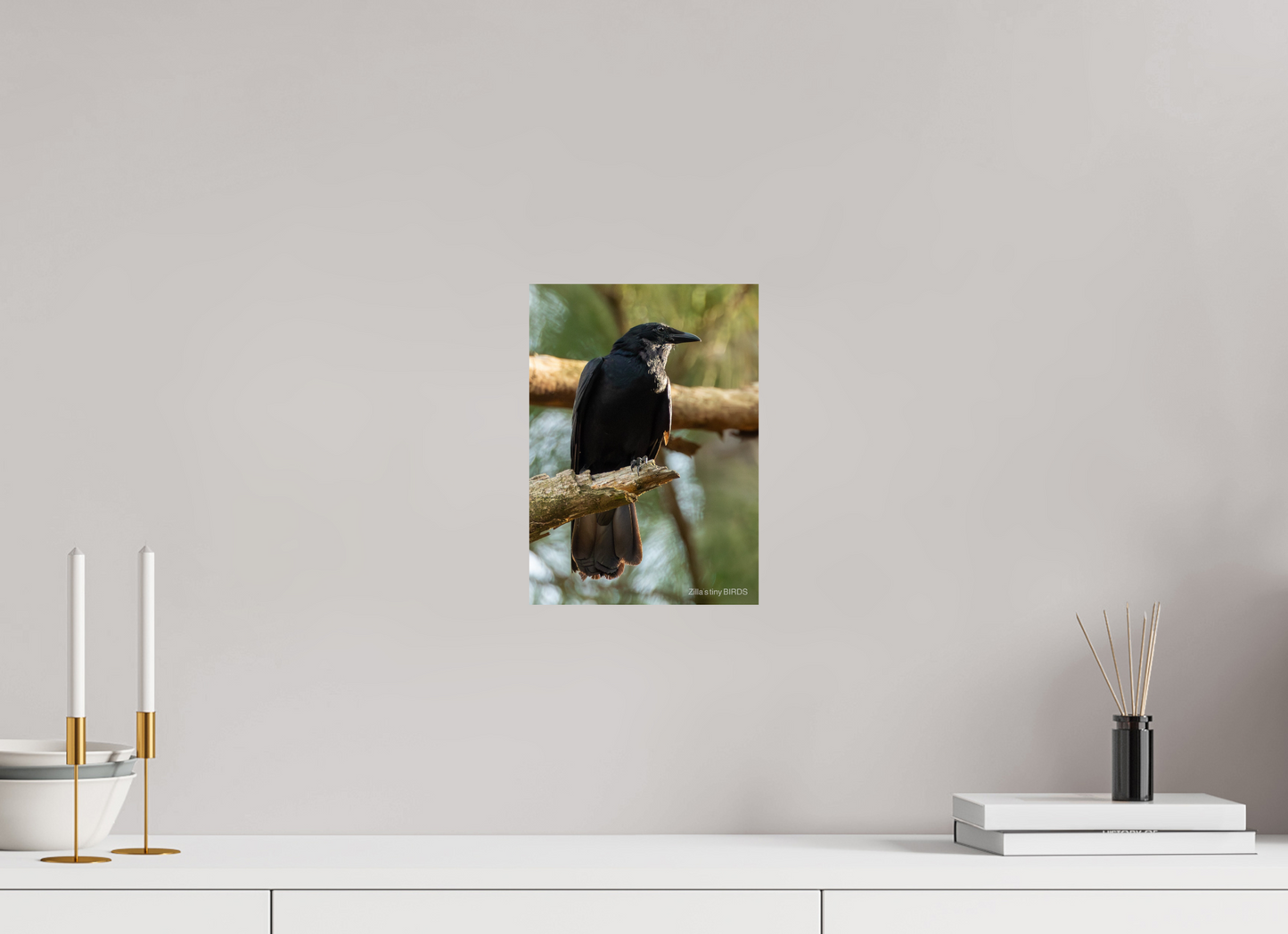 8 x 11.2″, Photo Print On Fuji Crystal DP II Zillas Zoom Image 523