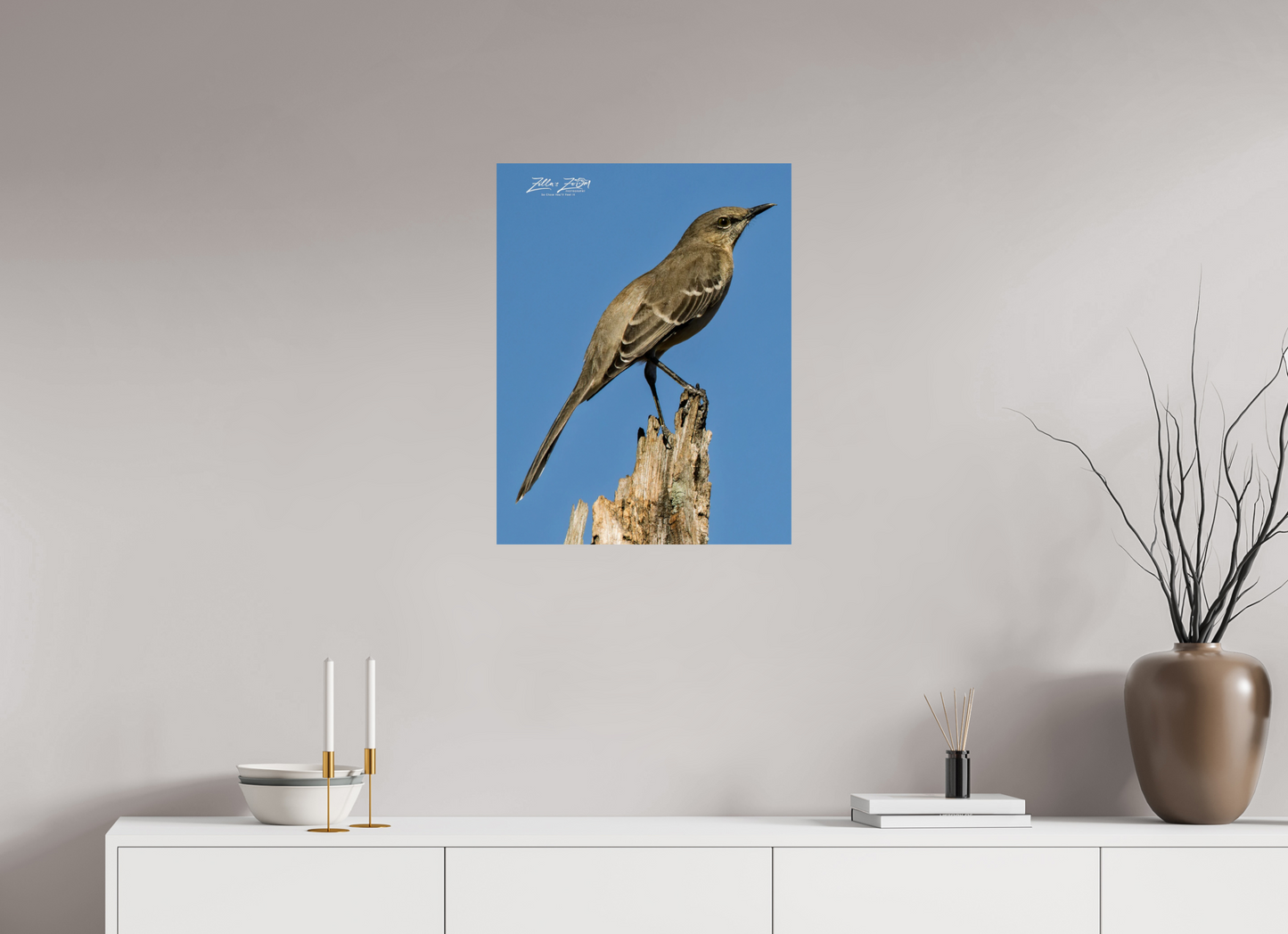 20 x 25.9″, Photo Print On Fuji Crystal DP II Zillas Zoom Image 404