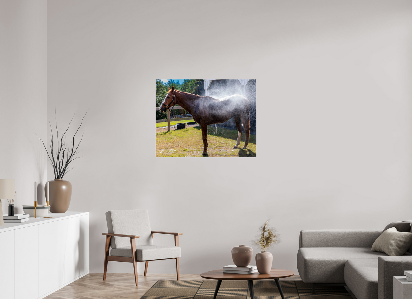40.1 x 31″, Photo Print Under Acrylic Glass Zillas zoom image 145