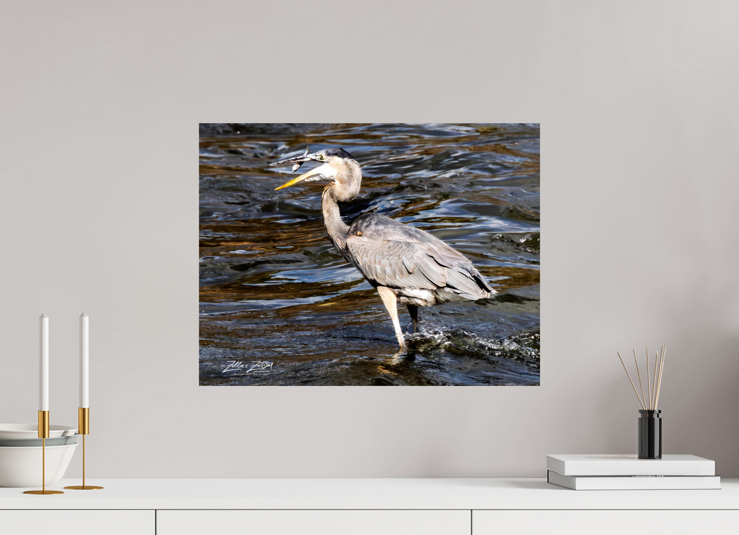 20.7 x 16″, Photo Print On Fuji Crystal DP II Zillas Zoom Image 281