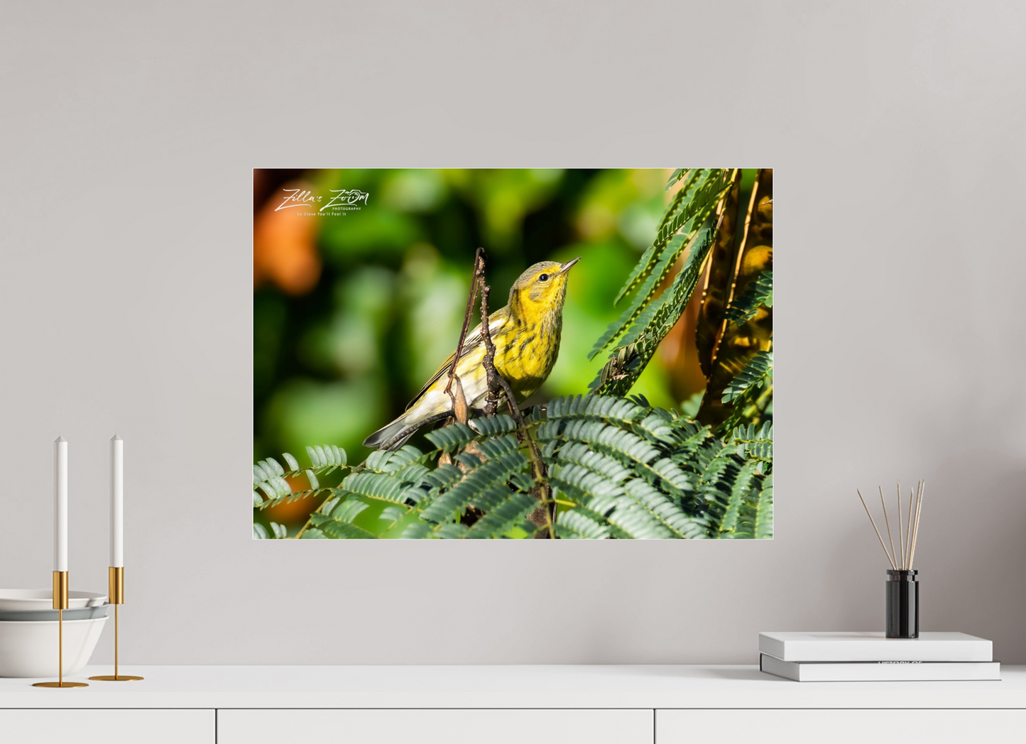 22.4 x 16″, Photo Print Under Acrylic Glass Zillas Zoom Image 290