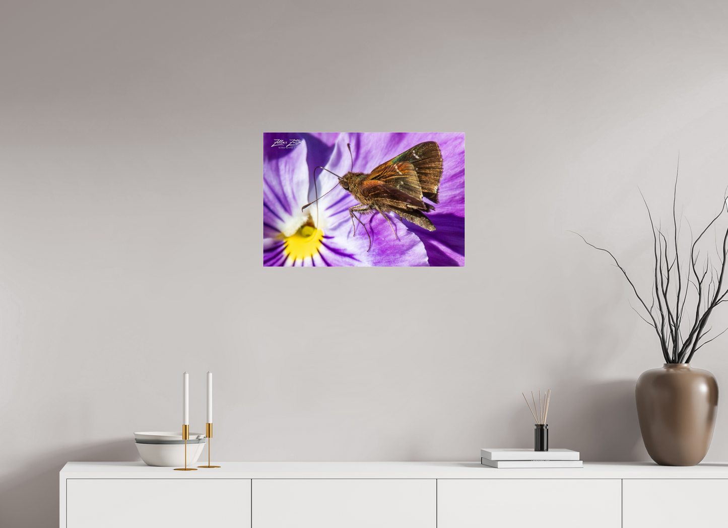 24 x 16″, Photo Print Under Acrylic Glass Zillas Zoom Image 59