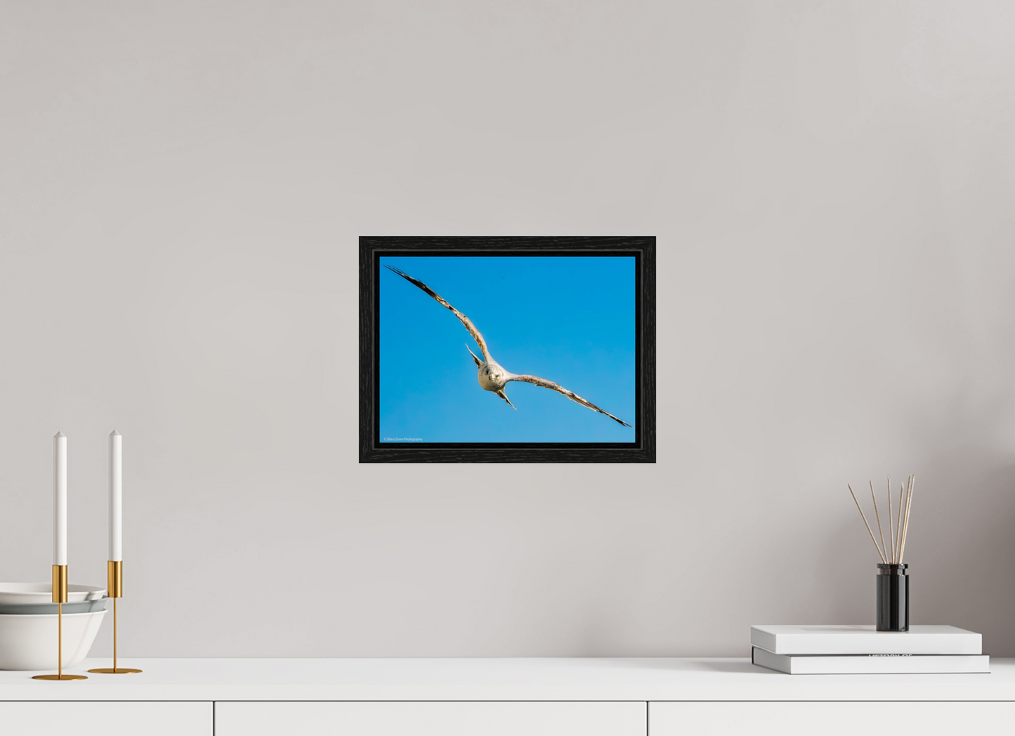 11 x 8″, Floater Frame Zillas Zoom Image 365