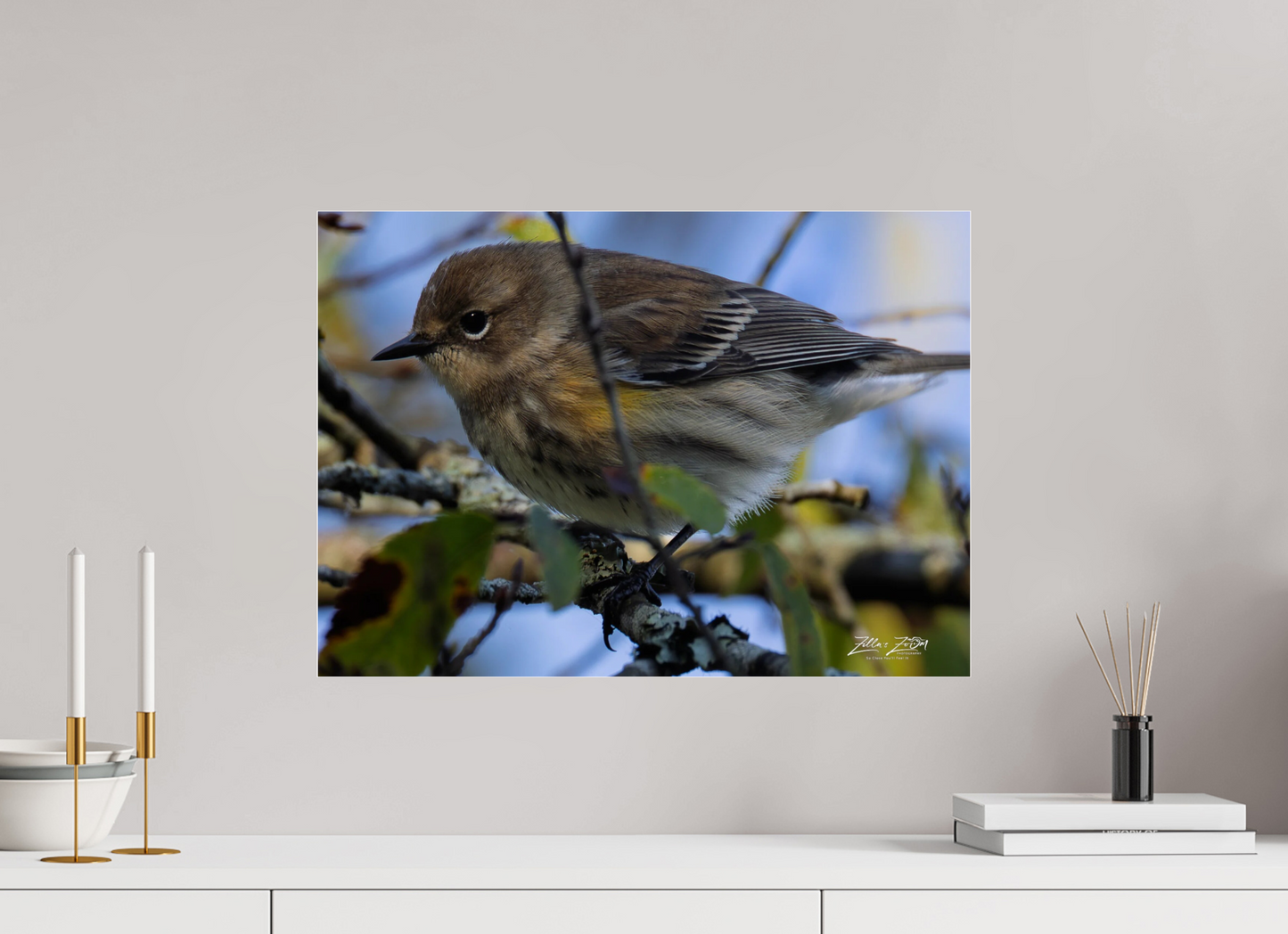 22.4 x 16″, Photo Print Under Acrylic Glass Zillas Zoom Image 357